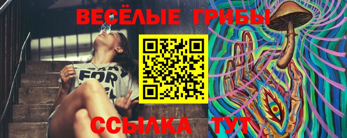 Елец  Псилоцибиновые грибы ЛСД  Галлюциногенные грибы GOLDEN TEACHER  Вход с VPN 
